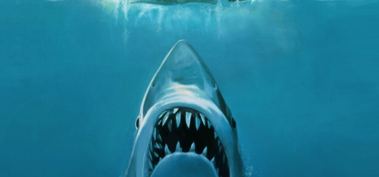 4177215-jaws-movie-concept