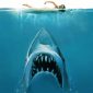 4177215-jaws-movie-concept