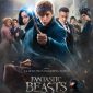 fantastic_beasts_and_where_to_find_them-229500301-large